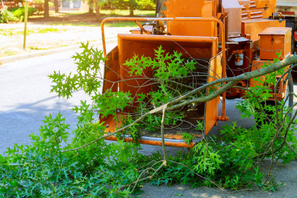 Best Utility Line Clearance  in Ellisburg, NJ