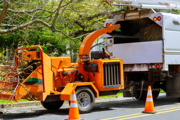 Best Hazardous Tree Removal  in Ellisburg, NJ