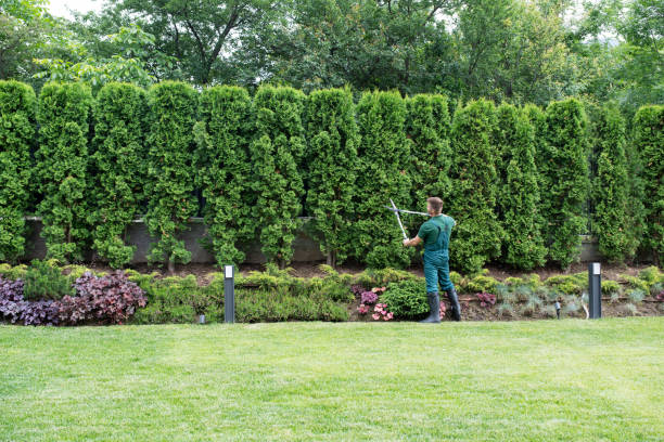 Professional Tree Services in Ellisburg, NJ